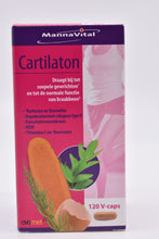 Afbeelding in Gallery-weergave laden, Cartilaton