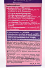 Afbeelding in Gallery-weergave laden, Cartilaton