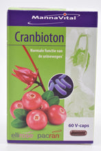 Afbeelding in Gallery-weergave laden, Cranbioton