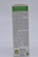 Charger l'image dans la vue Galerie, <transcy>Fruits et fibres réguliers</transcy>