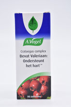 Afbeelding in Gallery-weergave laden, A Vogel crataegus complex