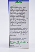 Afbeelding in Gallery-weergave laden, A Vogel crataegus complex