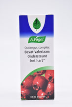 Afbeelding in Gallery-weergave laden, A Vogel crataegus complex