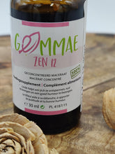Afbeelding in Gallery-weergave laden, GEMMOTHERAPIE GEMMAE Zen 12 30ml

