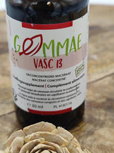 Afbeelding in Gallery-weergave laden, GEMMOTHERAPIE GEMMAE Vasc 13 30ml
