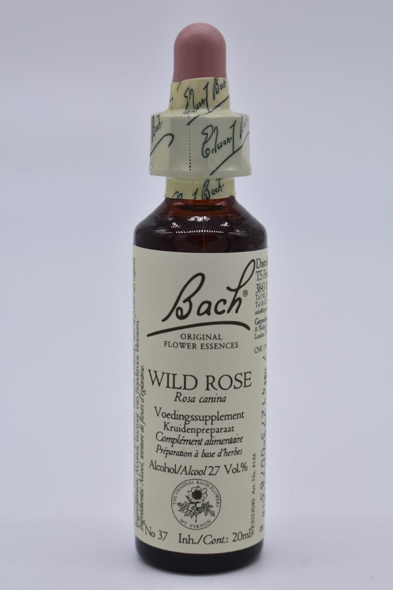 Wild rose