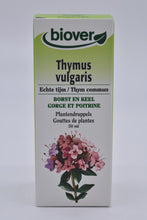 Charger l&#39;image dans la vue Galerie, &lt;transcy&gt;Thym commun (thymus vulgaris)&lt;/transcy&gt;
