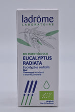 Afbeelding in Gallery-weergave laden, eucaluptus radiata eo
