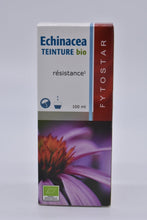 Afbeelding in Gallery-weergave laden, Echinacea
